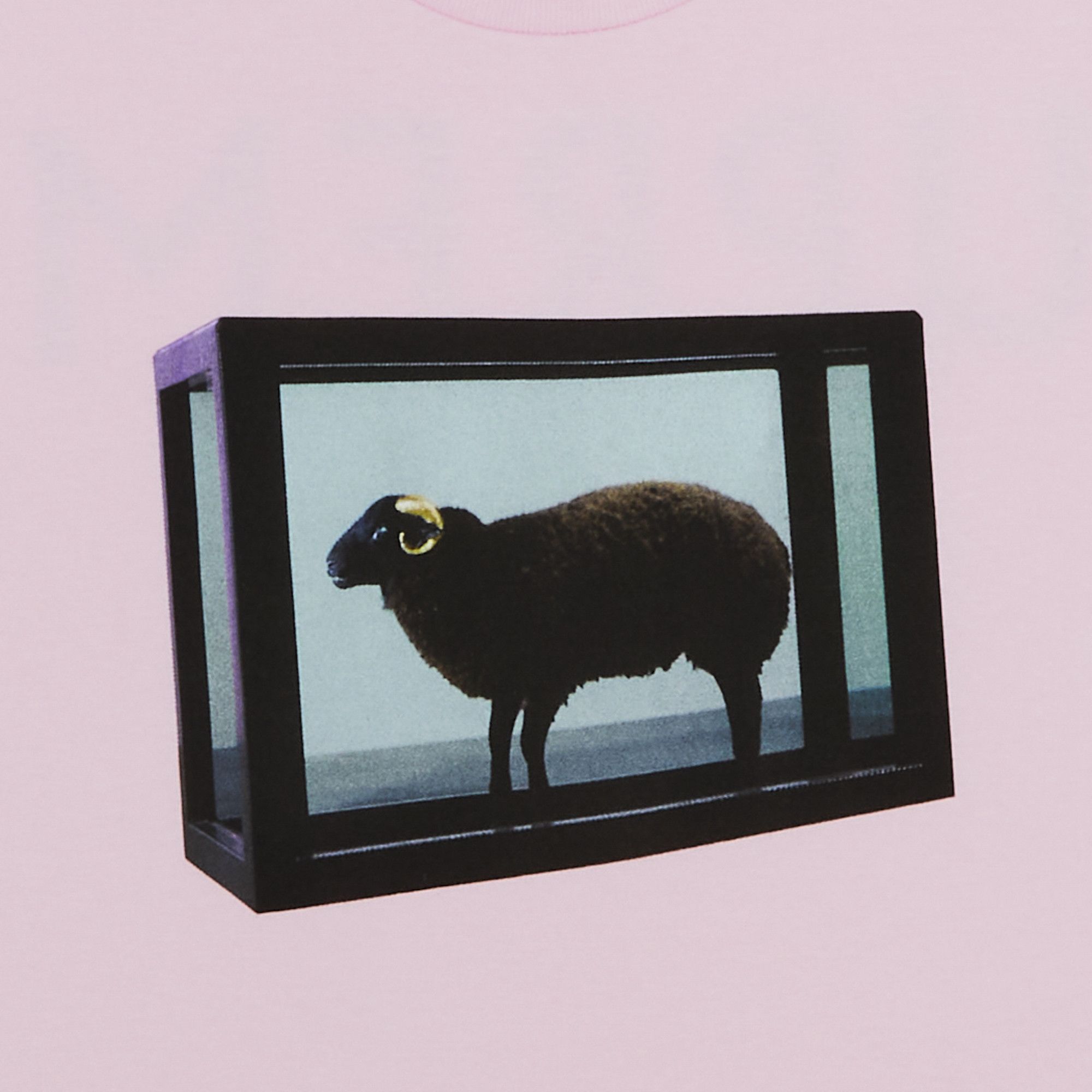 Buy Supreme x Damien Hirst Tee 'Light Pink' - SS25T5 LIGHT PINK | GOAT