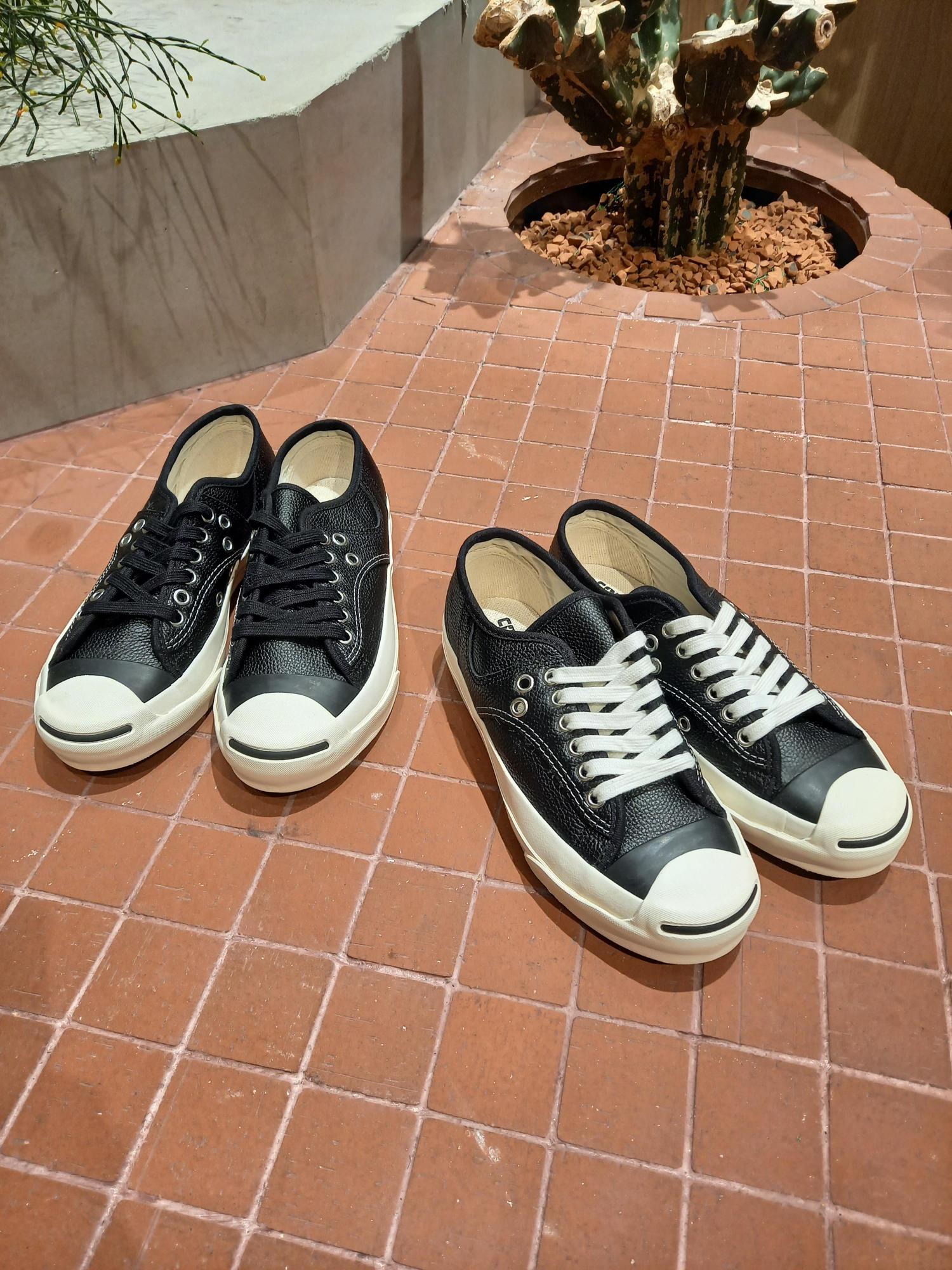 CONVERSE for BIOTOP JACK PURCELL / tohara / ADAM ET ROPÉ FEMME ｜J