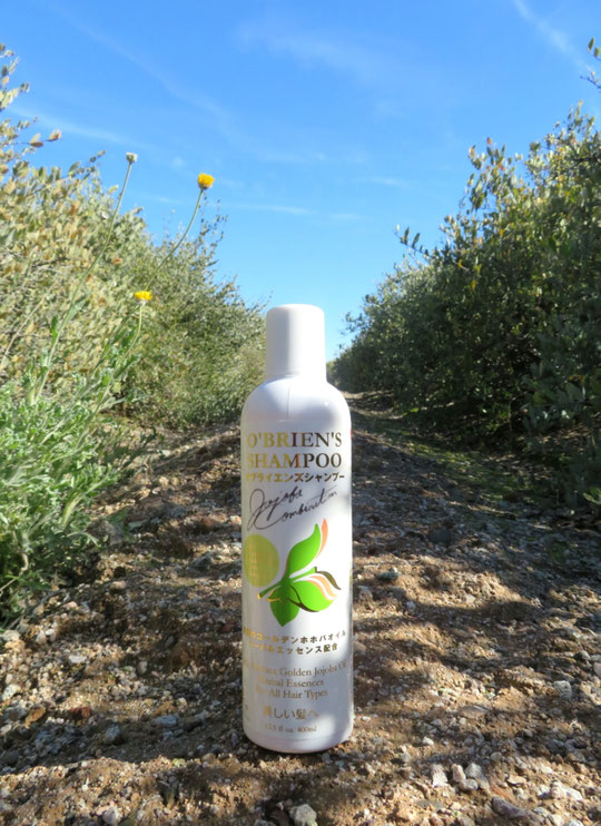 オブライエンズシャンプー O'BRIEN'S SHAMPOO 400ml - Life & Natural