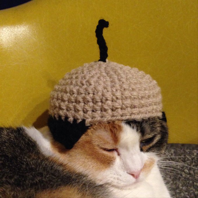 猫ちゃん用 ベレー帽 波平さん - MIKE-CO'S GALLERY | minne byGMO