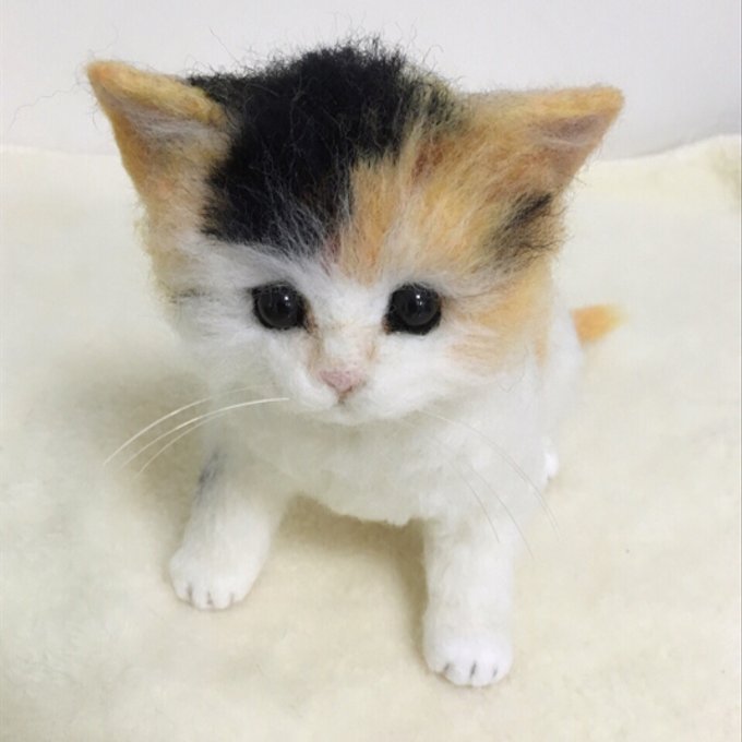 よちよち歩きの三毛猫 赤ちゃん 羊毛フェルト 猫 - A-ALICE03'S