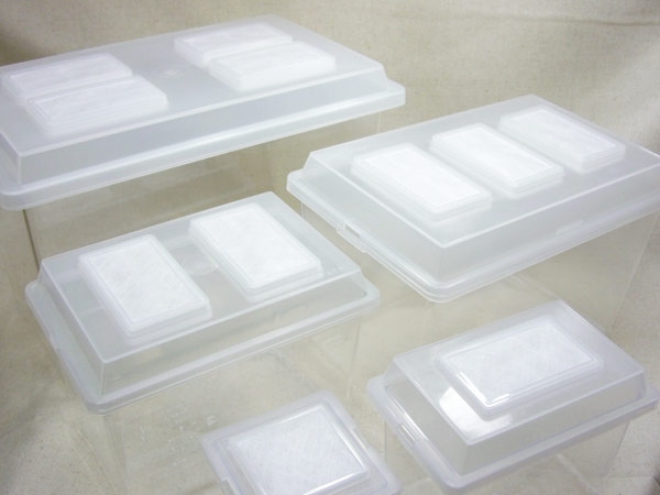 コバエシャッタータイニーケース | モンスター