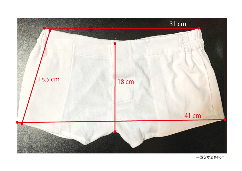 イングランド型 Sサイズ Runbird Mizuno ラガーパンツ ラグパン