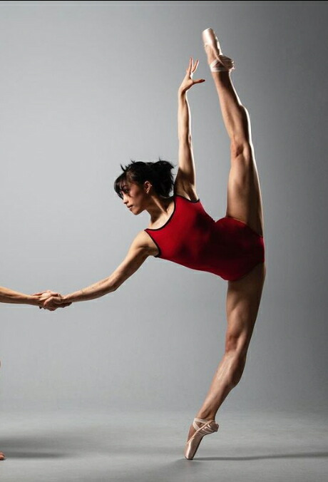 楽天市場】【マラソン中全品P3倍】 バレエ レオタード 大人 ジュニア