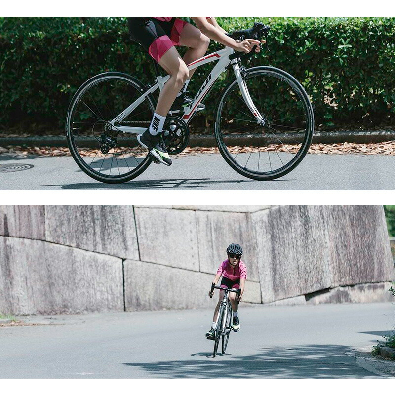 楽天市場】Fuji フジ 自転車 子供用 キッズ バイク ACE650 エース650