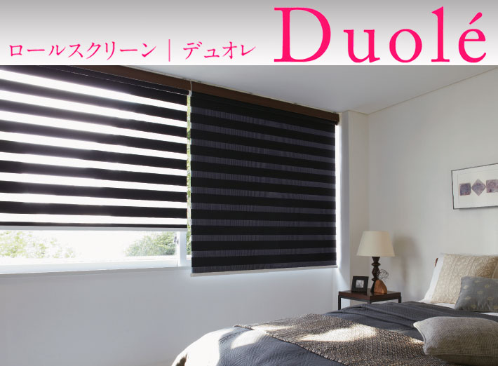 タチカワブラインド ロールスクリーン デュオレ