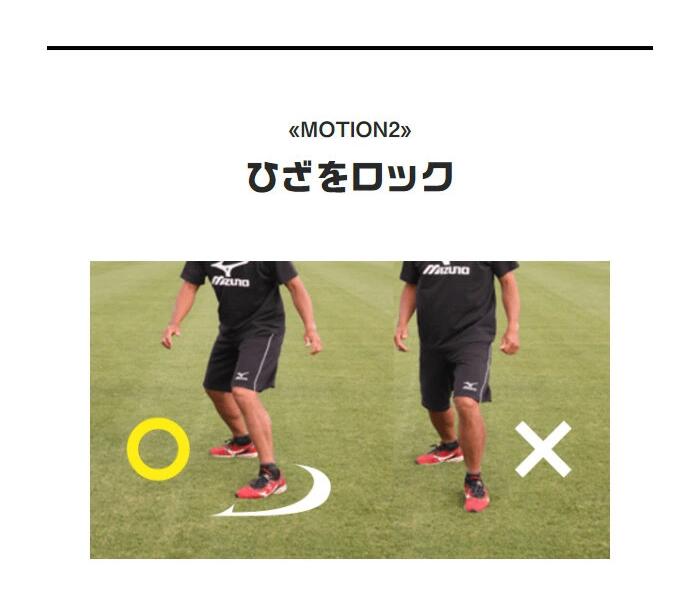 TANI LADDER DVDと機具 TANI LADDER DVDと機具