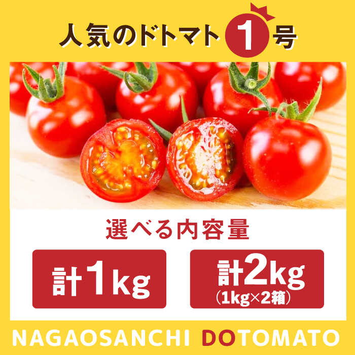 楽天市場】【ふるさと納税】【選べる内容量】ドトマト1号 1kg-2kg