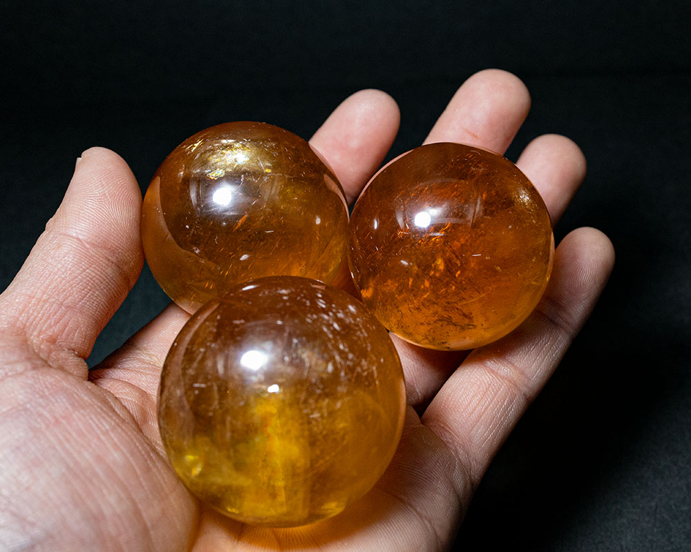 楽天市場】選べる ゴールデンカルサイト ハニーカルサイト イエロー