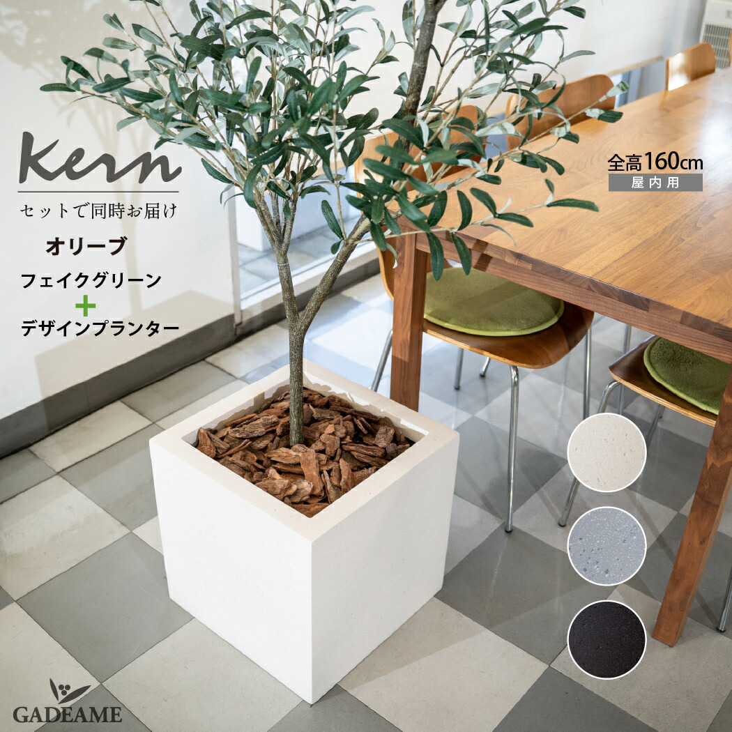 楽天市場】【NEW!】オリーブ フェイクグリーン planeco H160cm KERN