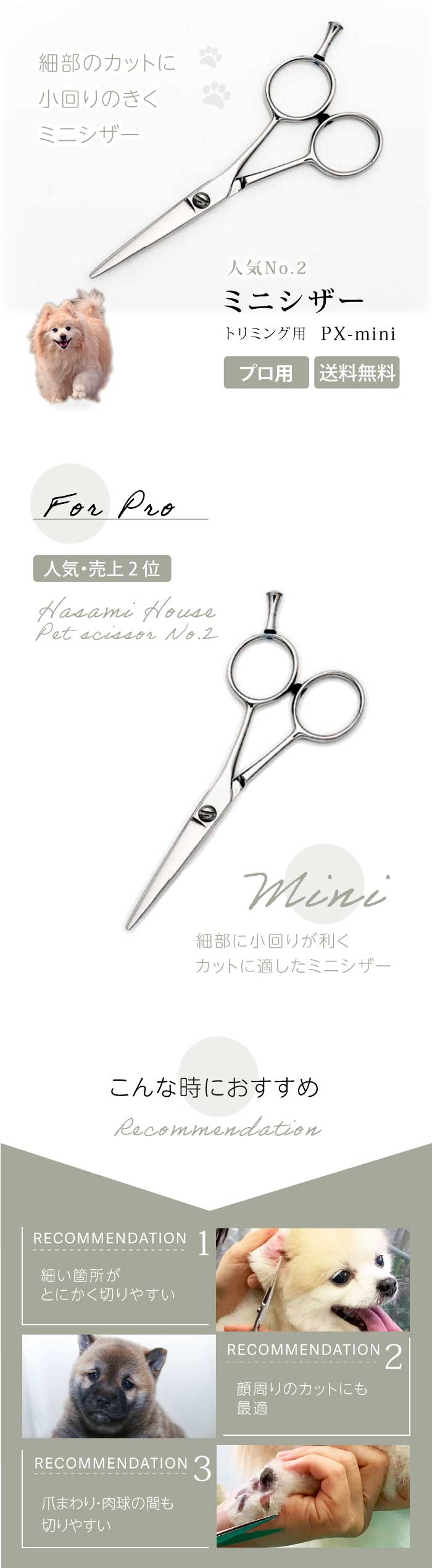 楽天市場】【ペットトリミング用 ミニシザー】【送料無料】px-mini