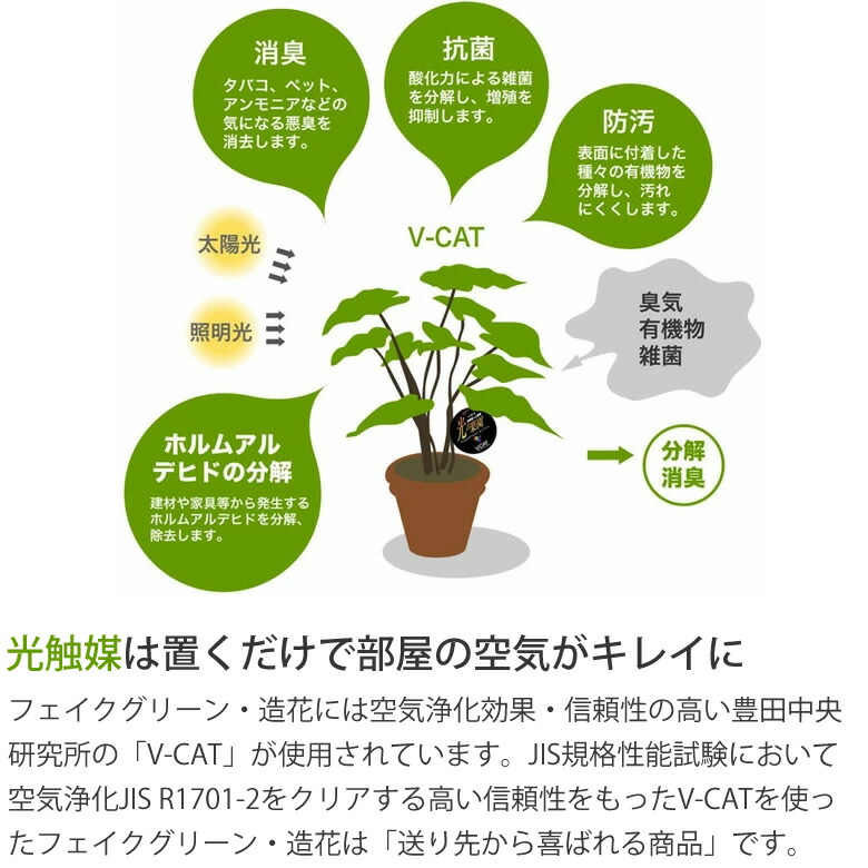 楽天市場】光触媒 人工観葉植物光の楽園 幸福の木 高さ1.1mフェイク