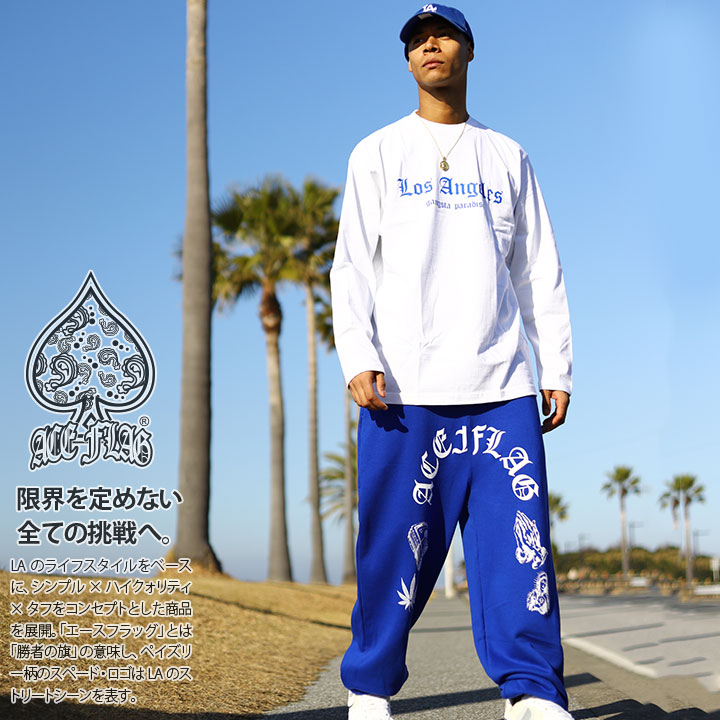 楽天市場】【48%OFF】ACEFLAG 上下セット 長袖 ブランド メンズ 春秋冬