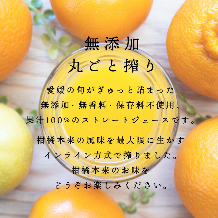 楽天市場】お中元 2024年 搾りたて！＼創業84年 愛媛みかん の老舗