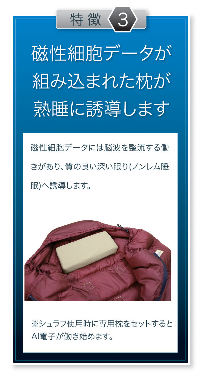 湧命力・パワーシュラフII（YP Power Schlaf II） 湧命力・パワー