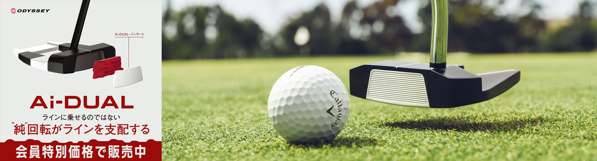 キャロウェイ ELYTE MAX FAST アイアン 5本セット（I#6-9、PW）NS PRO