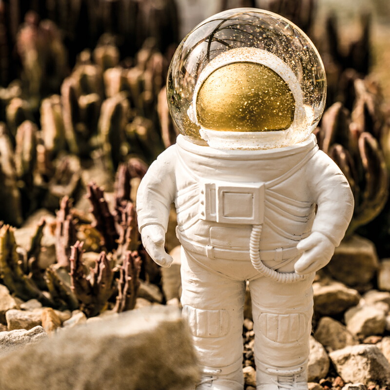 楽天市場】【MAX2000円OFFクーポン】スノードーム スノーグローブ 宇宙