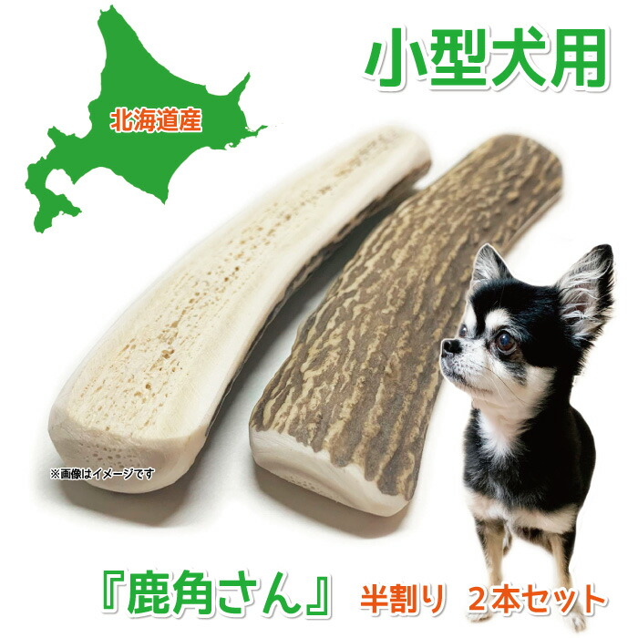 楽天市場】【中型犬用 蝦夷鹿の角】『鹿角さん』 髄出し割り角 四つ