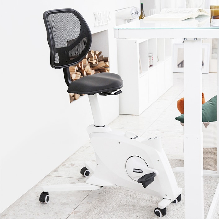 フィットネスバイク Sit2Go FC211 | FlexiSpot 公式ストア