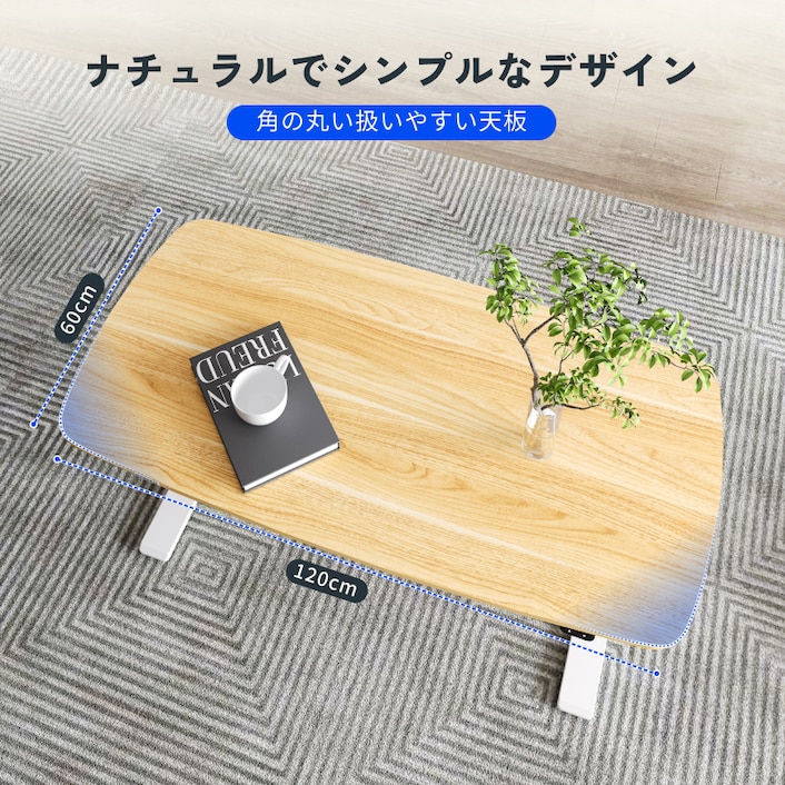 電動昇降式デスク・T3 | FlexiSpot 公式ストア