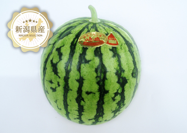 新潟青果市場「愛菜園倶楽部」｜新潟県 魚沼産 小玉西瓜【八色っ娘