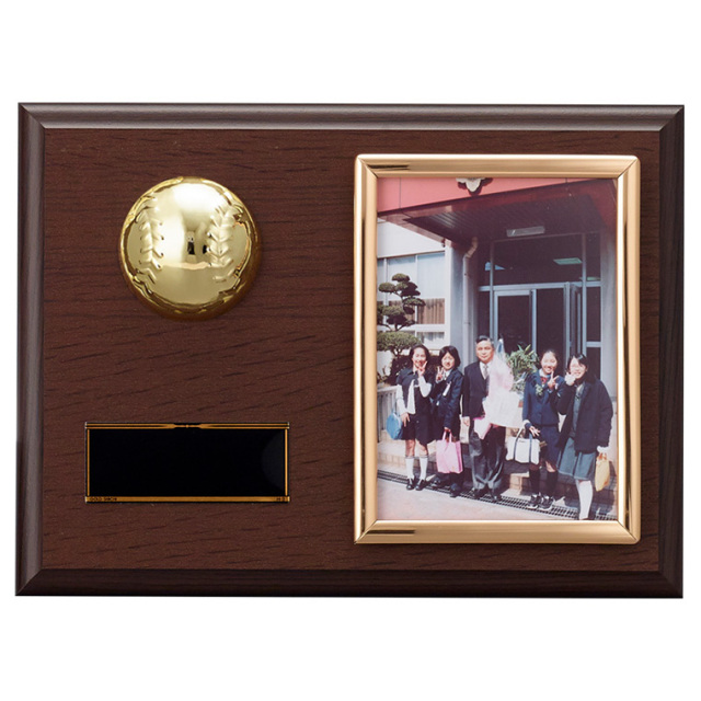 野球専用表彰記念盾 立体野球ボール付木製製盾 写真楯 KV-5503シリーズ