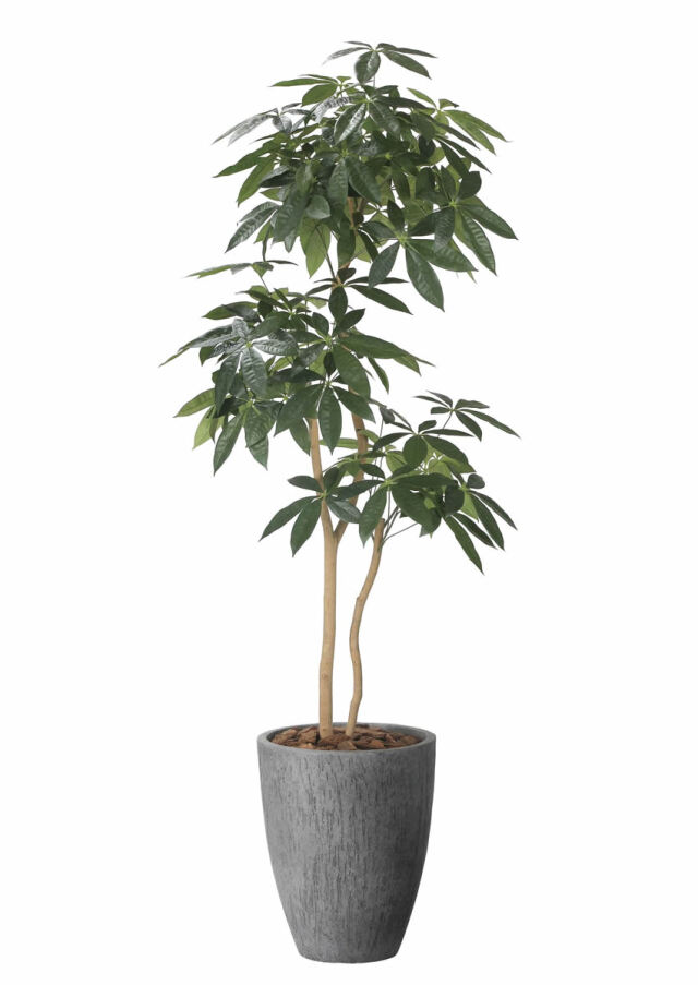 光触媒 光の楽園 スリムパキラ1.8m【インテリア フェイクグリーン 人工