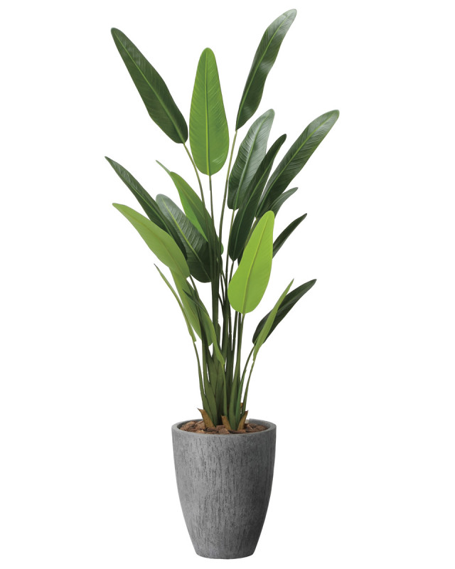 光触媒 光の楽園ナチュラルサラサドウダン 90【インテリア フェイク