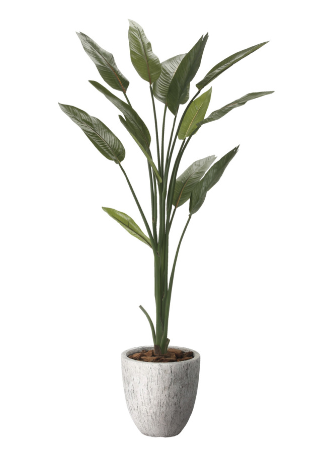 光触媒 光の楽園 ウッドボックスショウナンゴム1.8m【インテリア