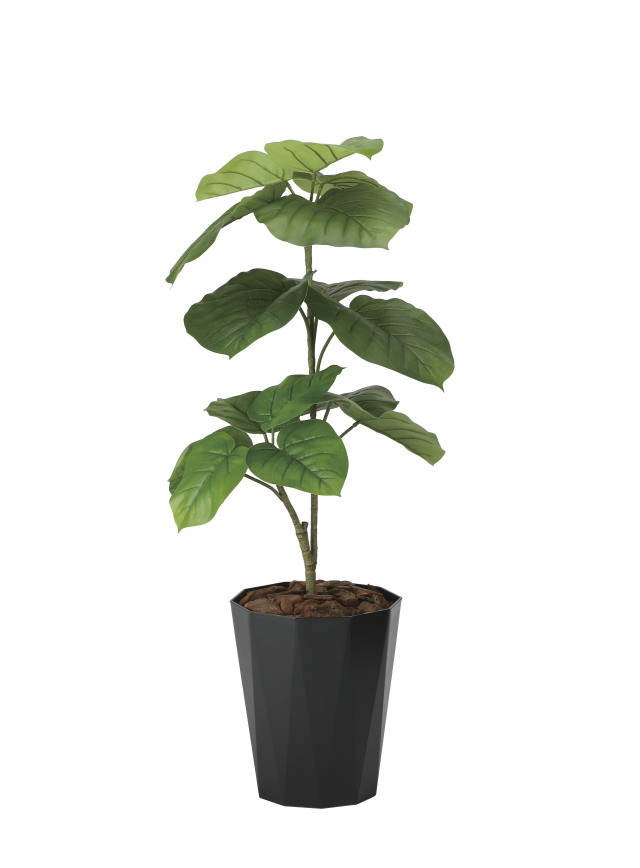 光触媒 人工観葉植物 ウンベラータ【光の楽園】