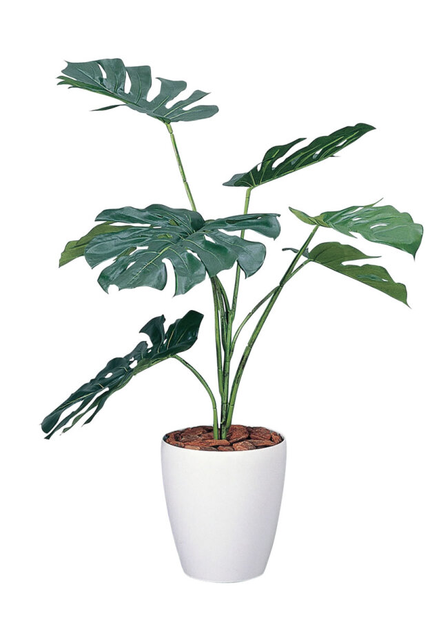 光触媒 光の楽園 パキラリーフツリー72【インテリア フェイクグリーン