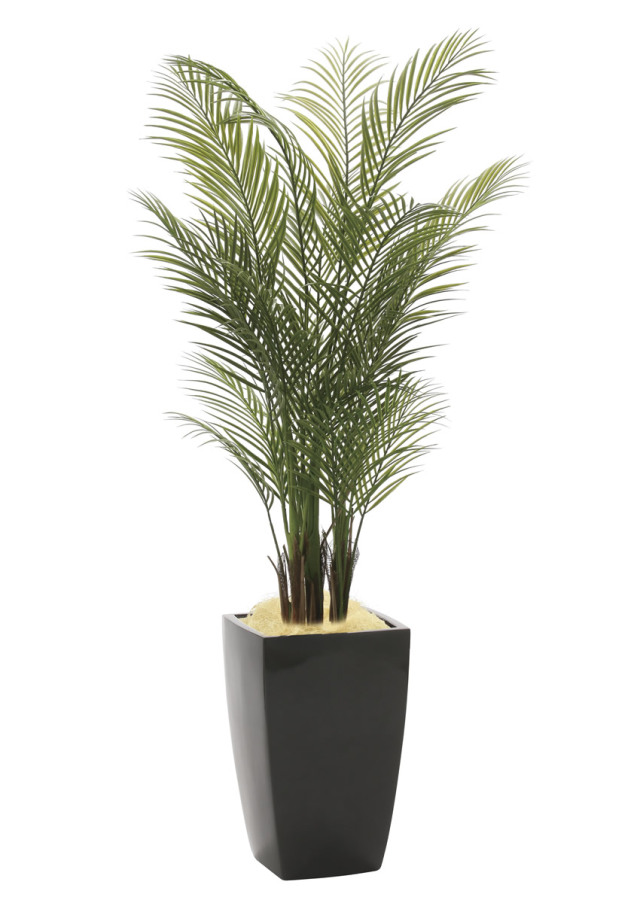 光触媒 光の楽園 パキラツリー 高さ 1.8m【インテリア フェイク