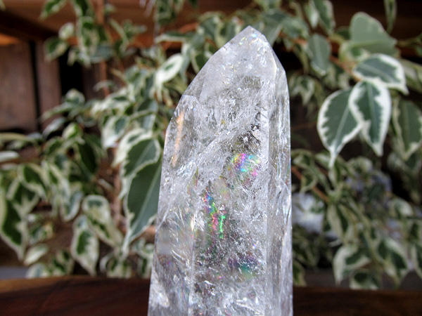 レインボースタッデッドクォーツ/天然水晶ポイント/トカンティンス州産