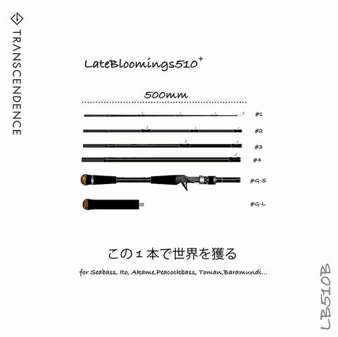 トランスセンデンス レイトブルーミングス 510+ 【シーバスルアー専門