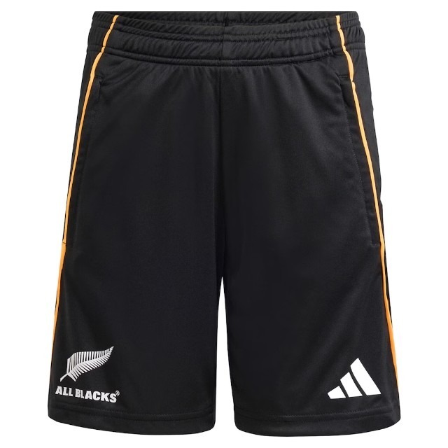 The Rugby Championship