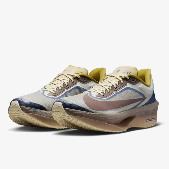 ササクラスポーツ通販｜ナイキ ズーム フライ 6 プレミアム HV4366-072