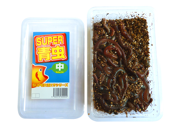 SUPER 青虫（青イソメ）
