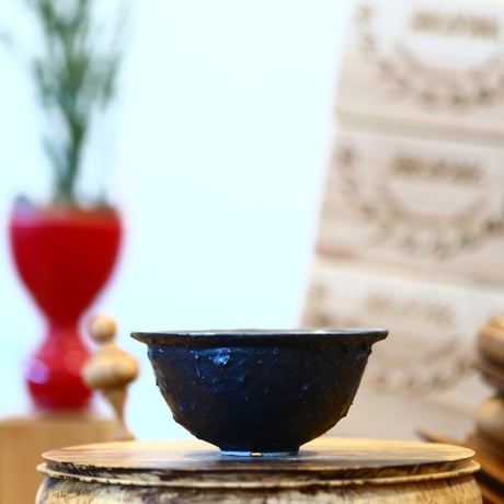 CATEGORY 【TENN】 | 芽の巣山