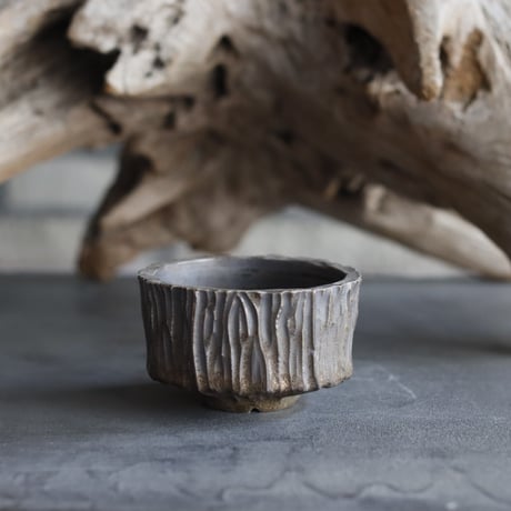 CATEGORY 2025/5/25 20:00~ | 芽の巣山