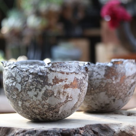 シロサビ | STORES