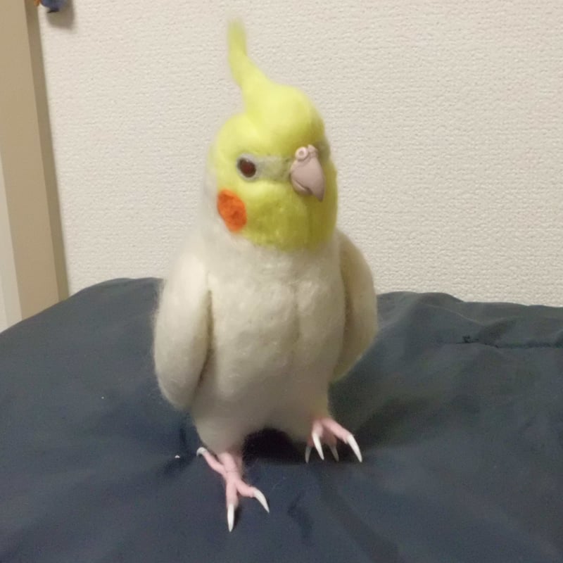 受注作成品】はじめの一歩♪ オカメインコ ルチノ－（濃赤目）羊毛
