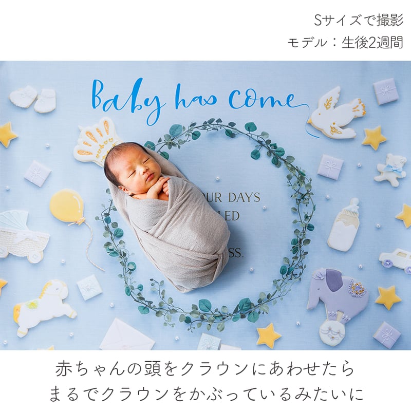 おうち写真館 happy-cookie GENTLE BLUE ＊名入れ無し | gra