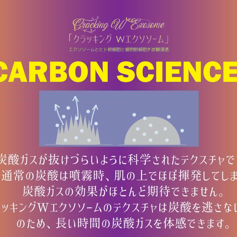 クラッキングWエクソソーム 〈2025/5/5リニューアル〉 | コスメメゾン