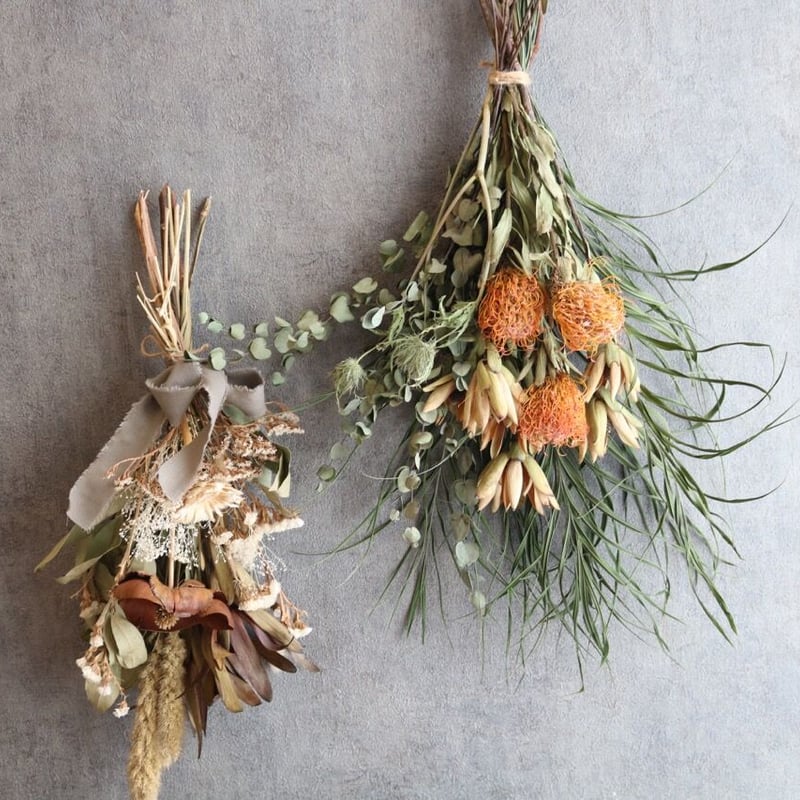 ピンクッションのドライフラワー | FlowerBalloon MUSUBITUKI