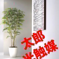 光触媒 人工観葉植物 ウォールグリーン フェイクグリーン 胡蝶蘭6134