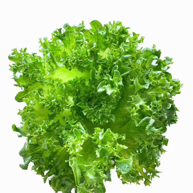 レタスミックス1㎏セット （500g×2袋入り） | つくらぼオンラインストア