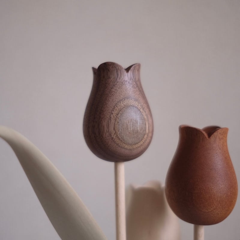 kikka チューリップ ウォールナットタイプ | 大石浩介