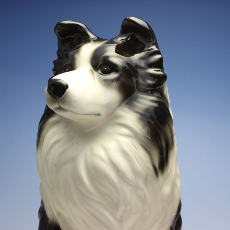 陶器犬置物 ボーダーコリー 大 屋内用 | Haniibaaz