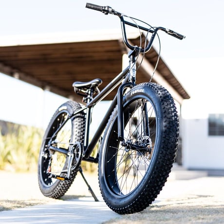 ビーチクルーザー | STORES