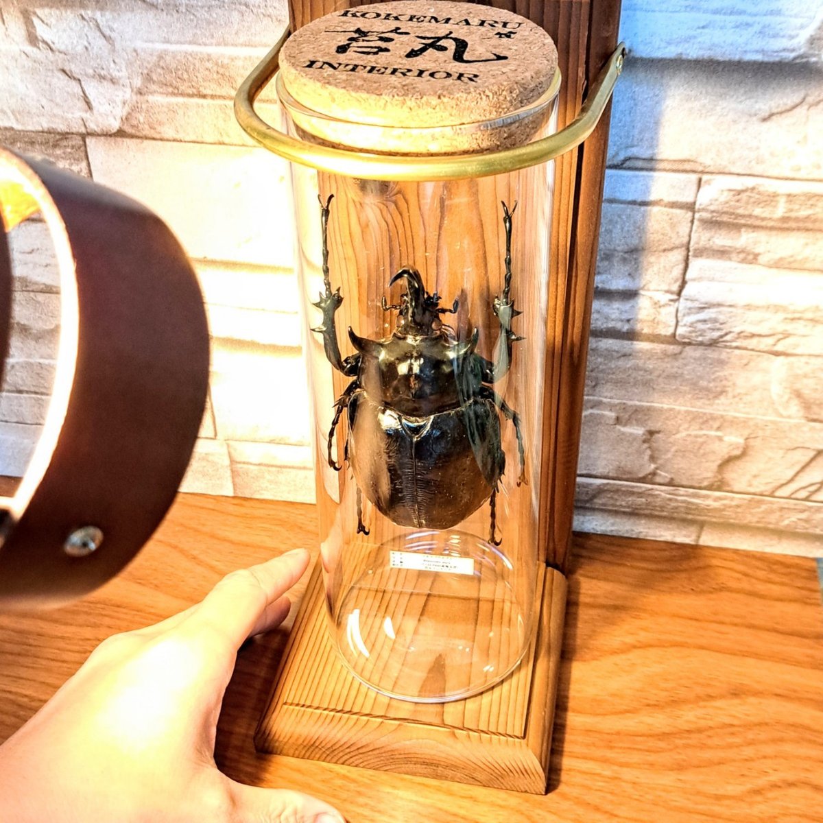 fit=scale-down,w=1200